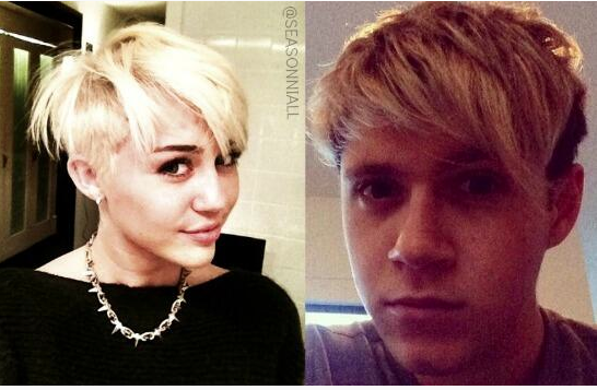 Miley Cyrus dan Niall Horan  ©instagram